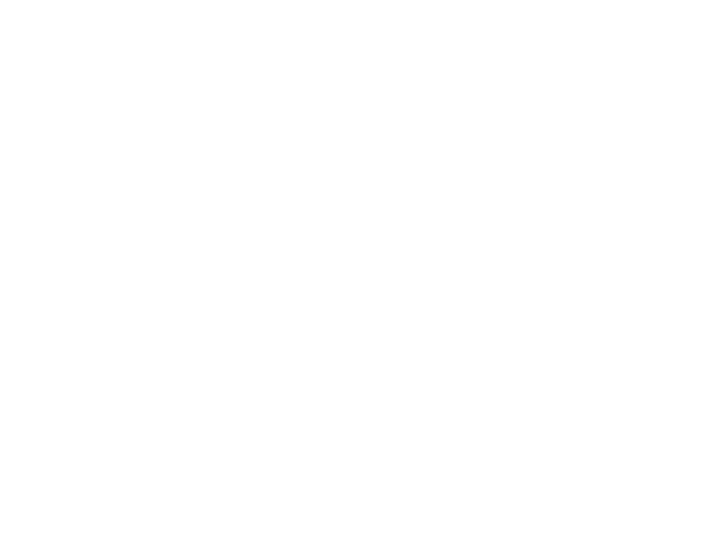 rollerspass-weiss-2.1