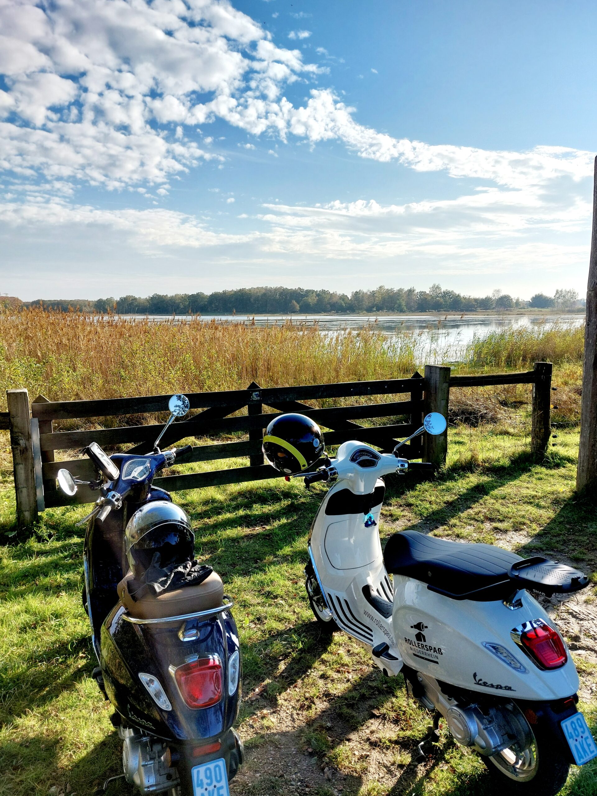 Vespa Blick in die Maasduinen